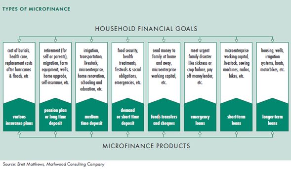 role of micro finance One of the factors that can hinder the growth of business or completely destroy it, is lack of financial backup since. role of micro finance One of the factors that can hinder the growth of business or completely destroy it, is lack of financial backup since.