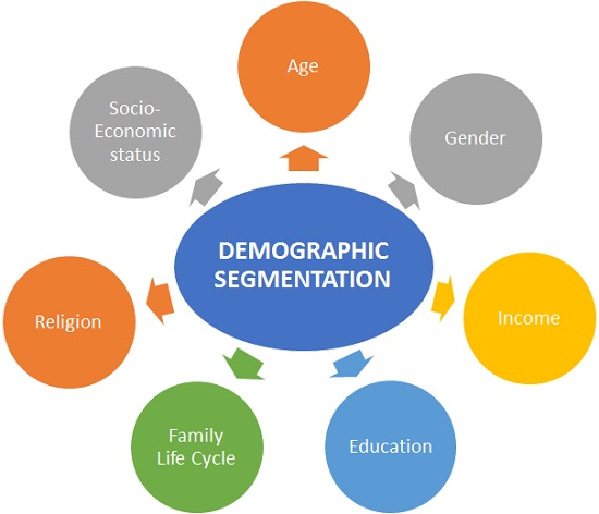 Demographic Segmentation variables