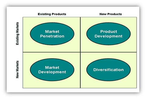 define product diversification strategy