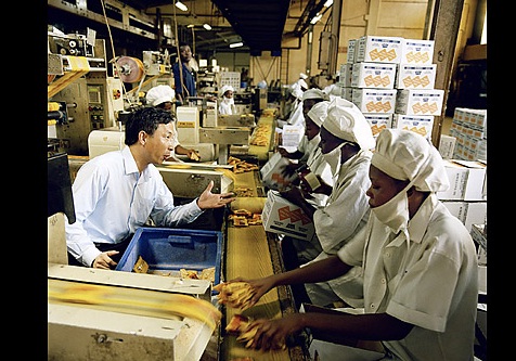 Cheap labour markets