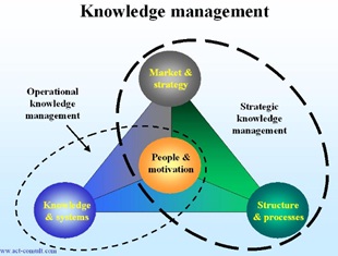 read Metacognitive Interpersonal