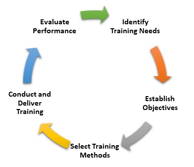 Training and Development Process