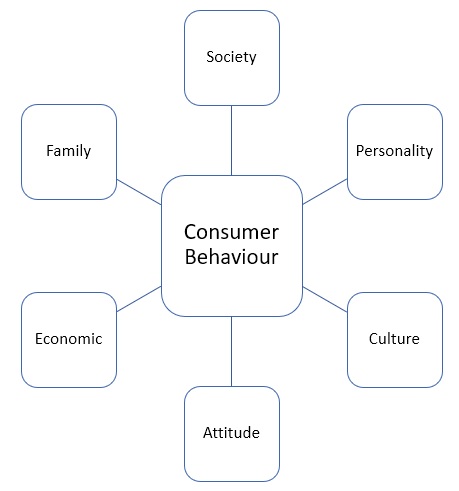 consumer behaviour behavior example analysis factors models affect marketing nike influence