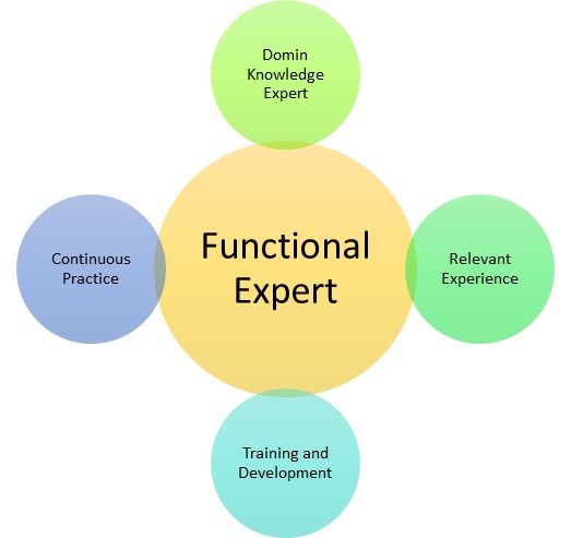 Functional Expert