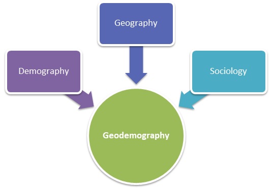 Geodemography