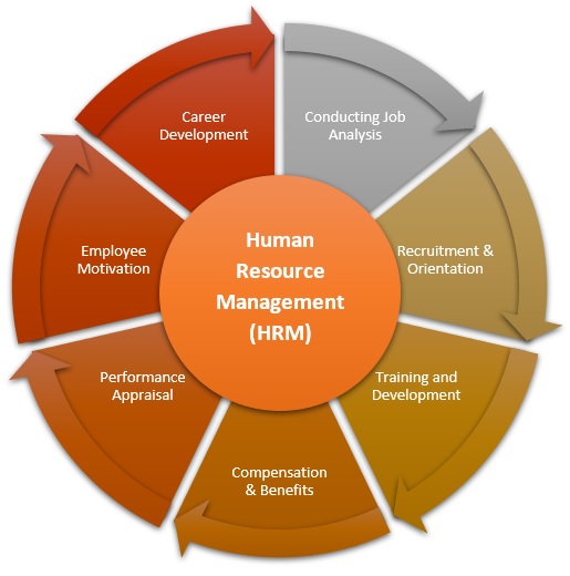 importance of hrm