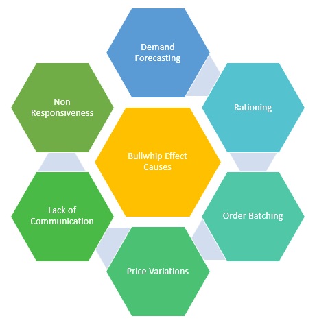 Bullwhip Effect Causes