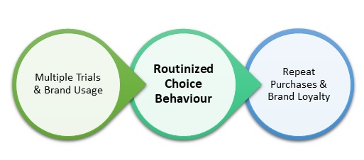Routinized Choice Behaviour