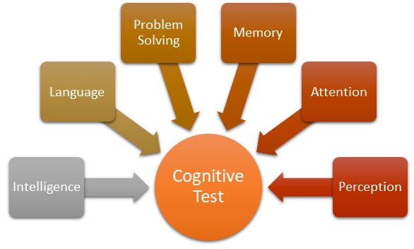 types of problem solving in cognitive psychology