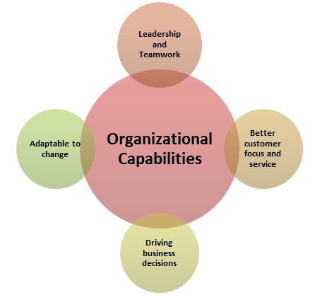Organizational Capabilities