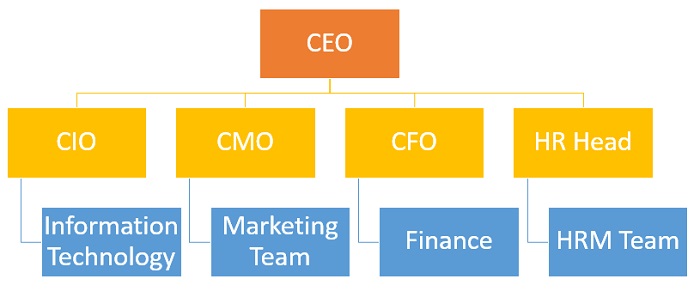 Organizational Structure