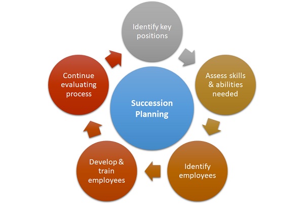 Succession Planning Basics: How It Works, Why It's Important