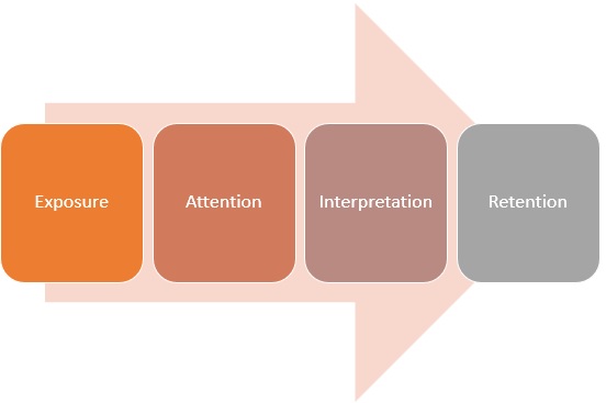 Customer Perception Stages