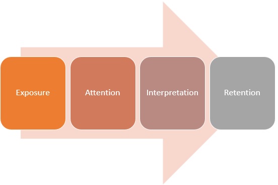Customer Perception Stages