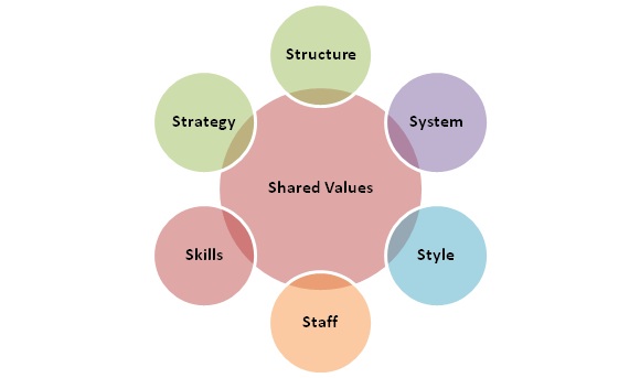 7 S Framework