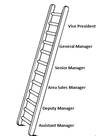 Career Ladder